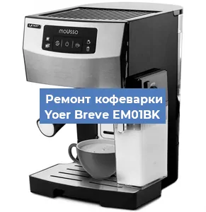 Ремонт заварочного блока на кофемашине Yoer Breve EM01BK в Новосибирске